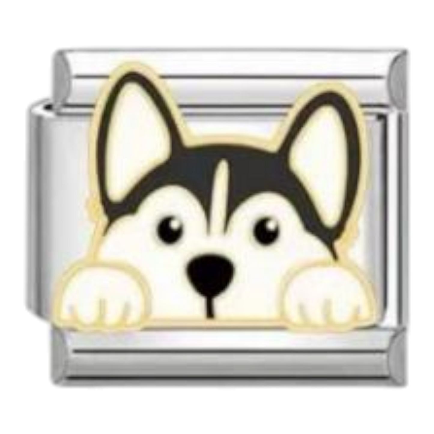 Cachorro