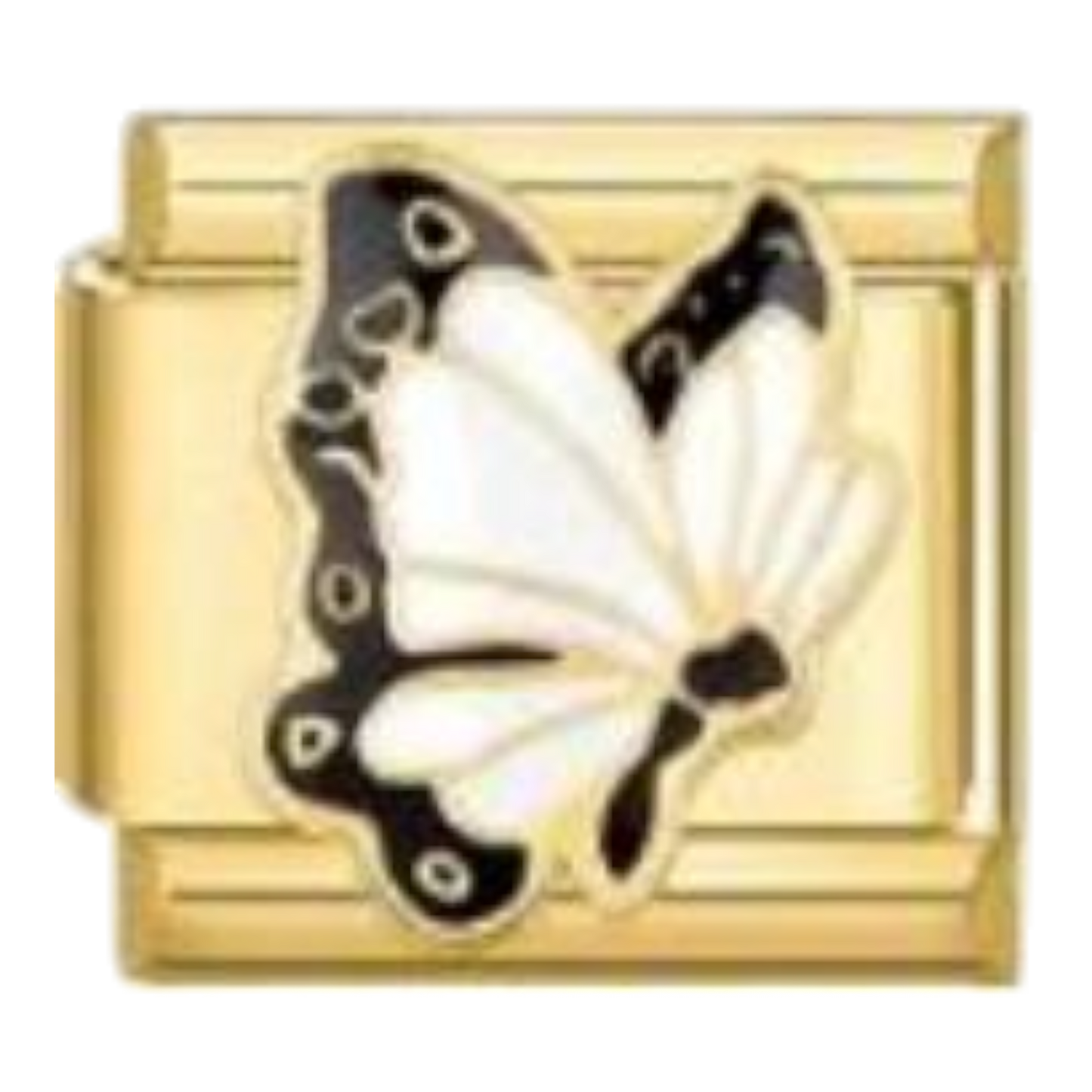 Mariposa