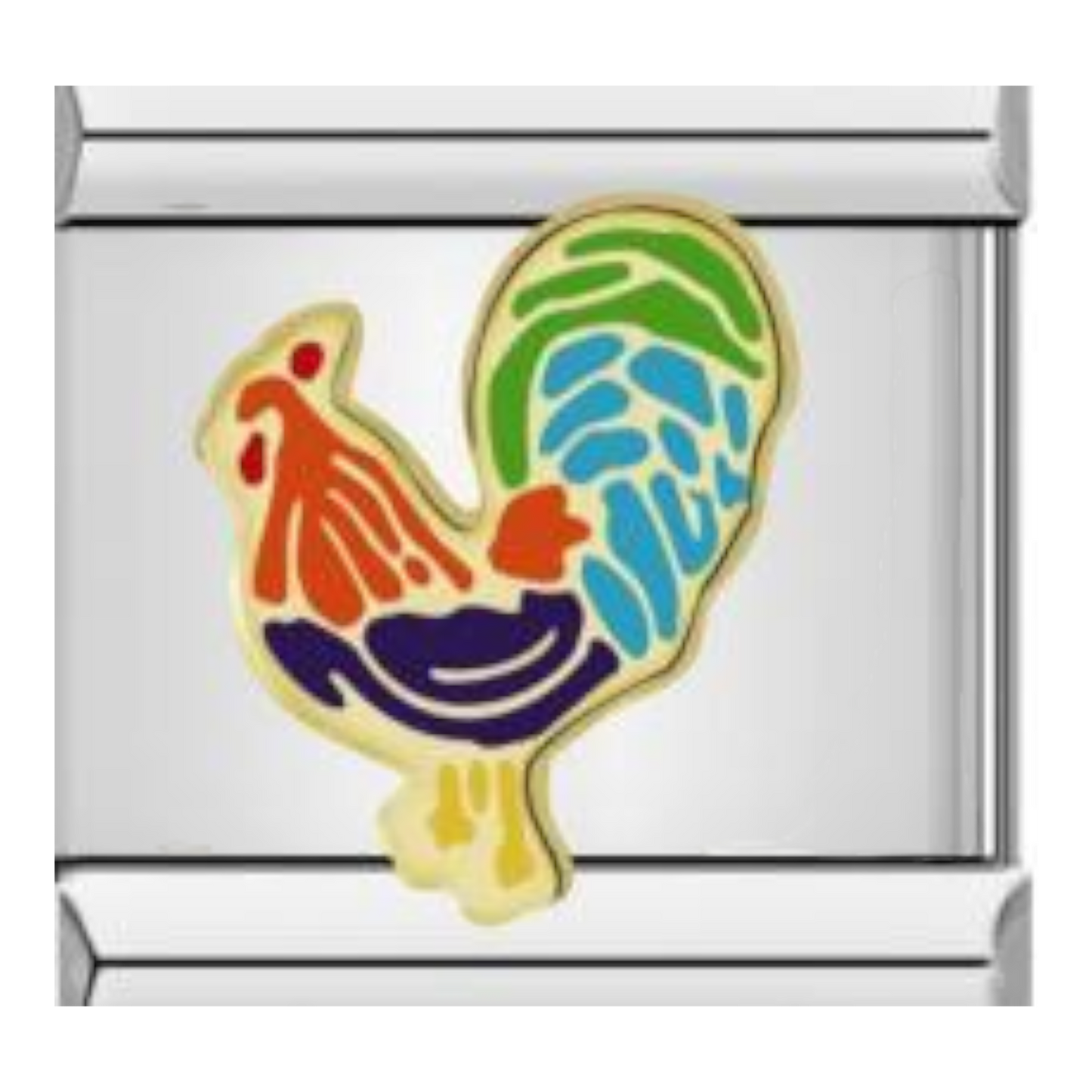 Gallo Multicolor