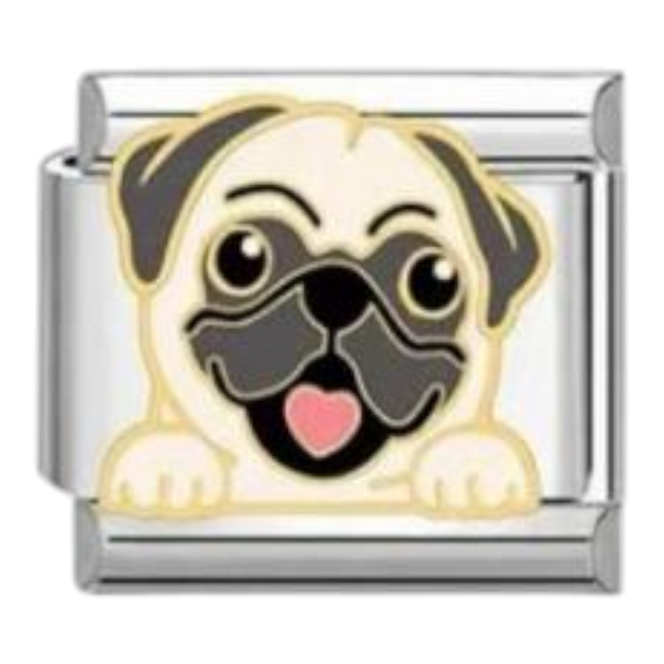 Pug