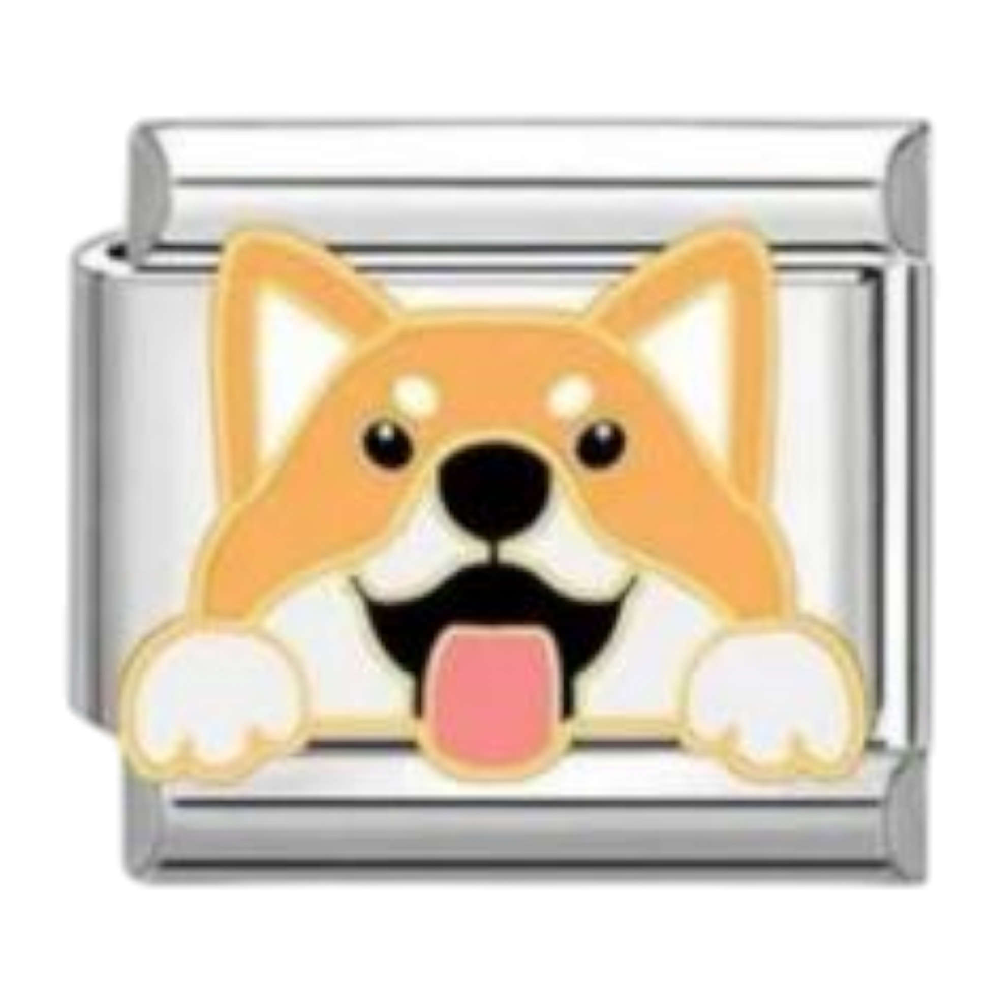 Corgi