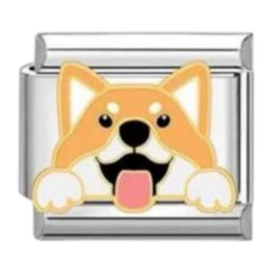 Corgi