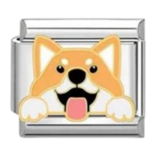 Corgi