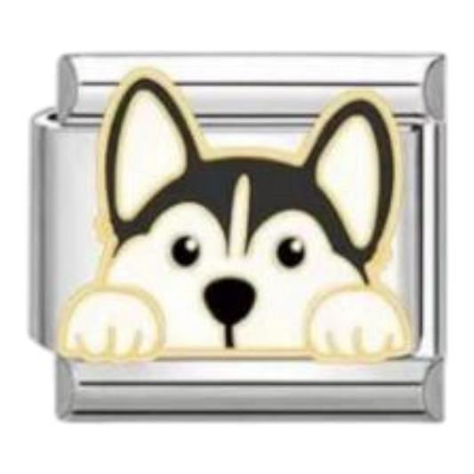 Cachorro