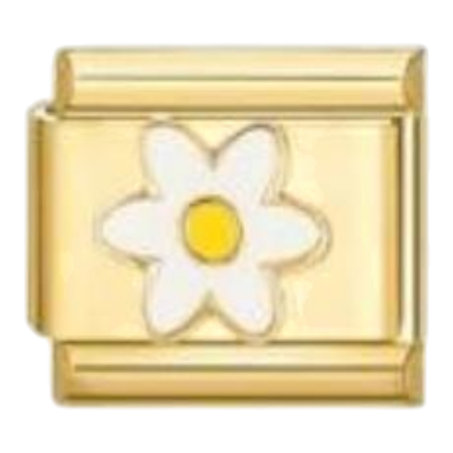 Margarita Blanca Dorada