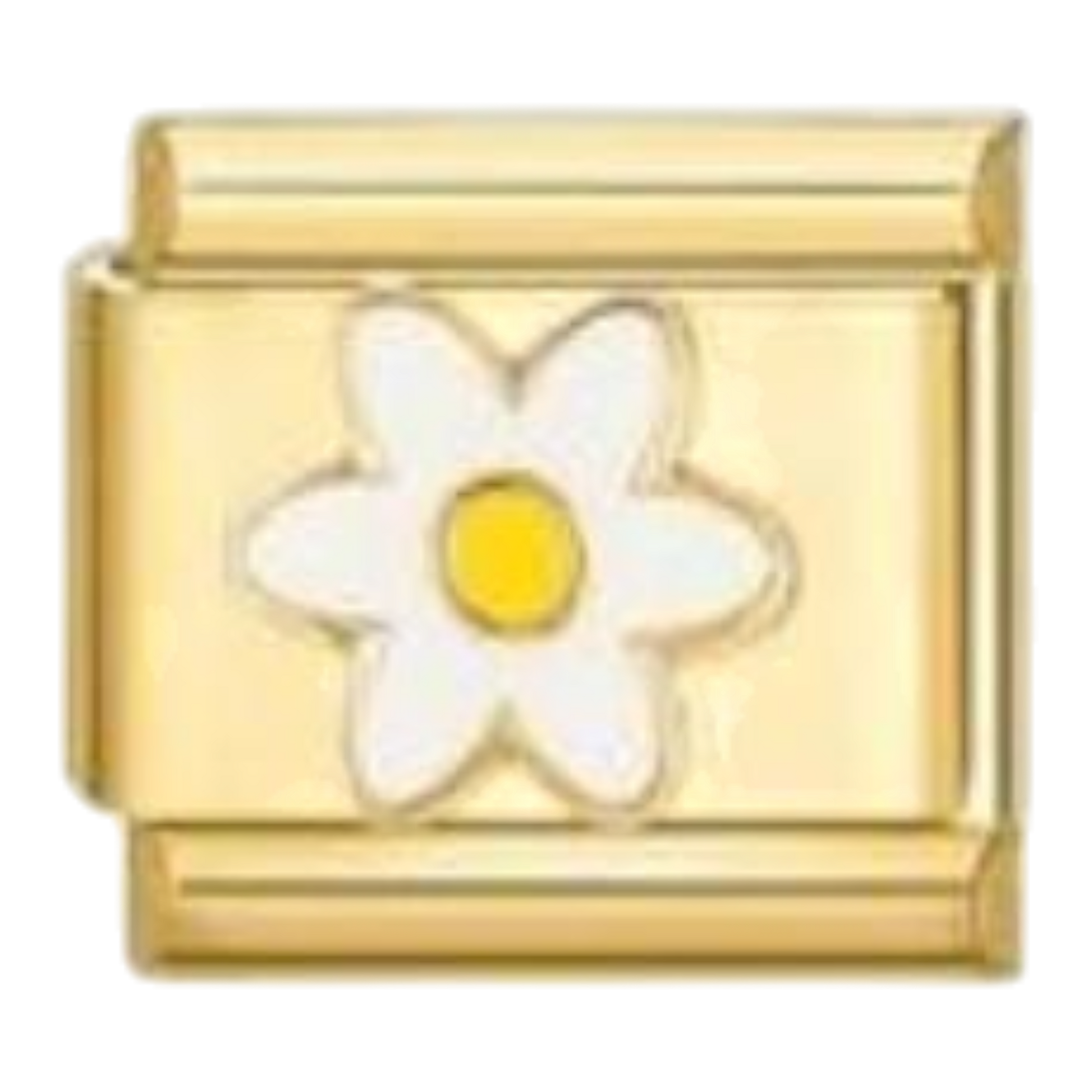 Margarita Blanca Dorada