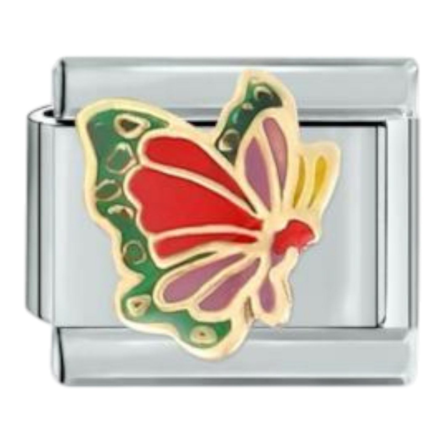 Mariposa Colorida