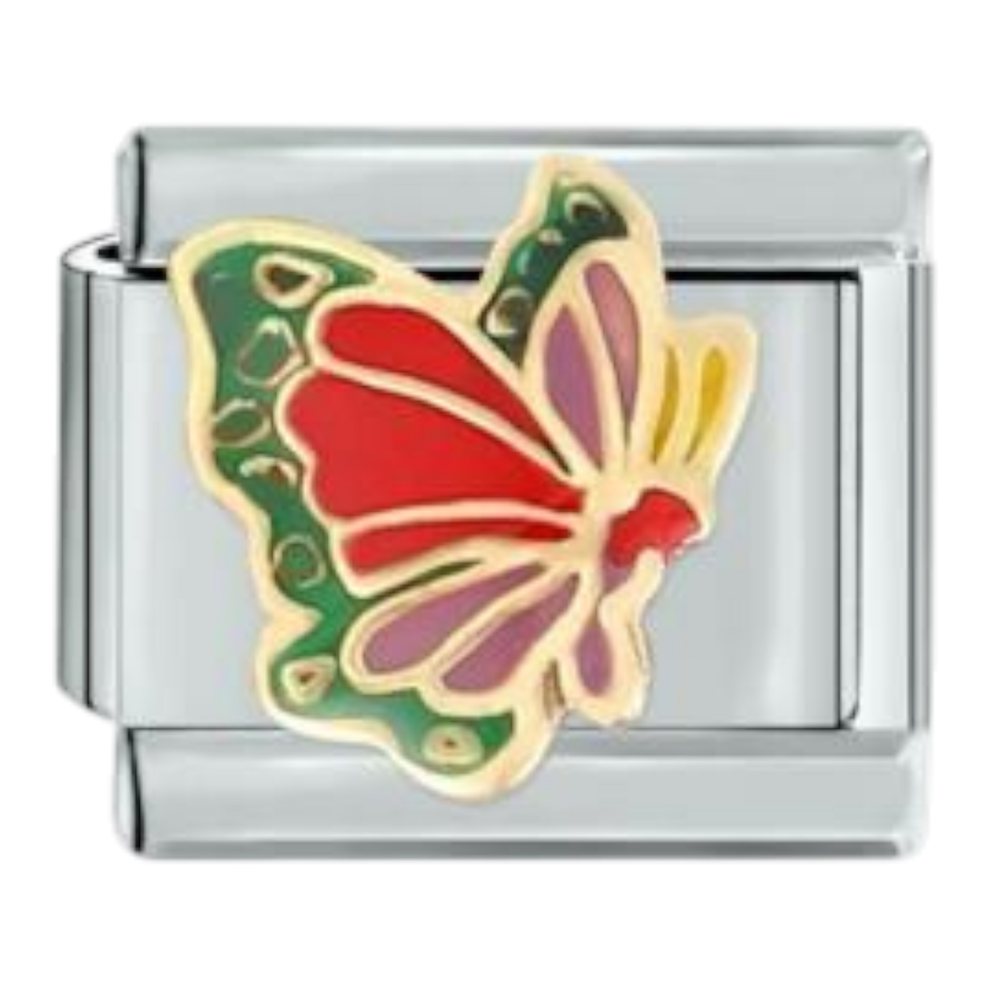 Mariposa Colorida