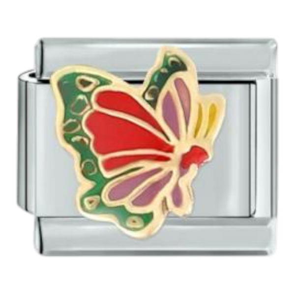 Mariposa Colorida