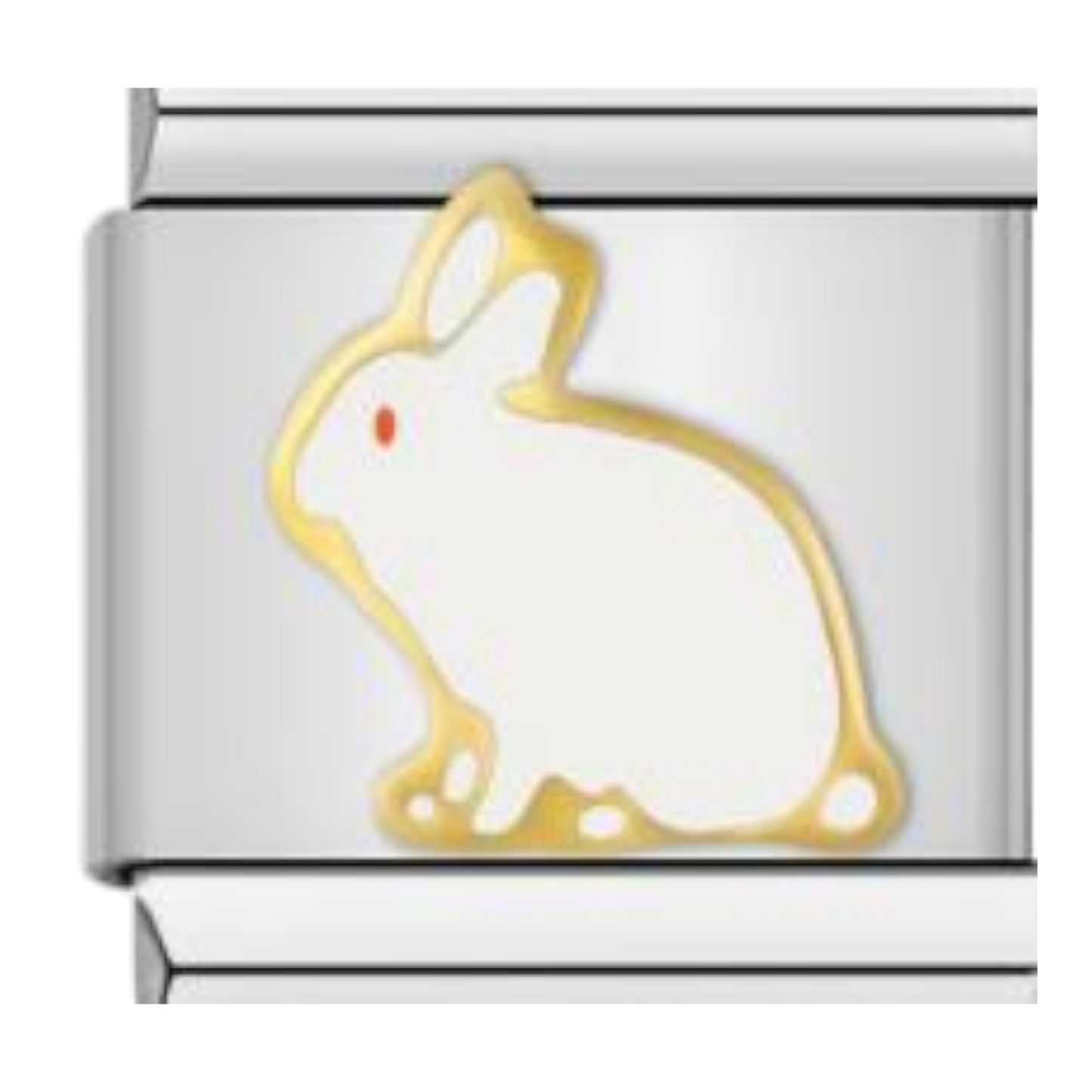 Conejo Blanco