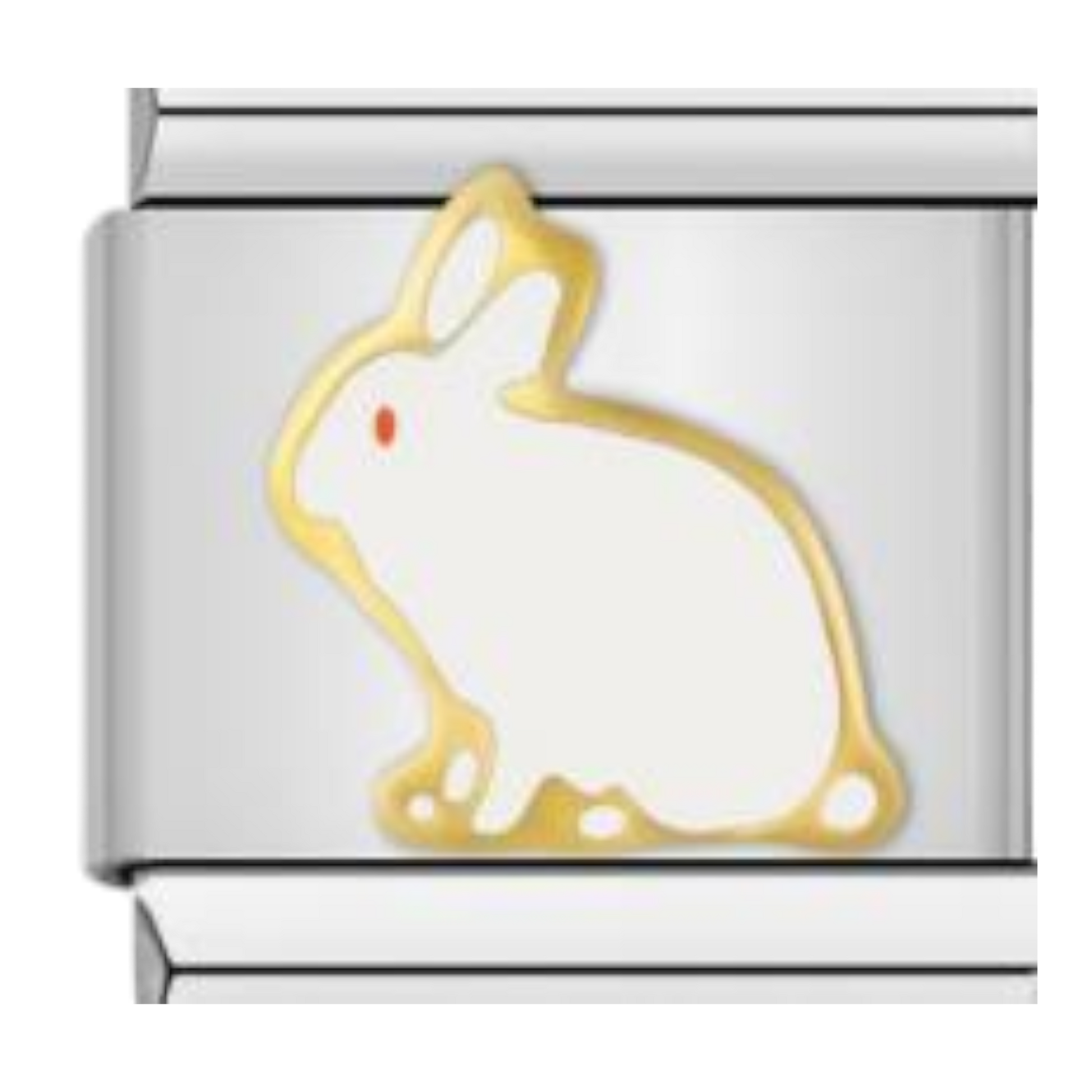 Conejo Blanco