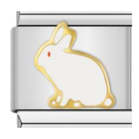 Conejo Blanco