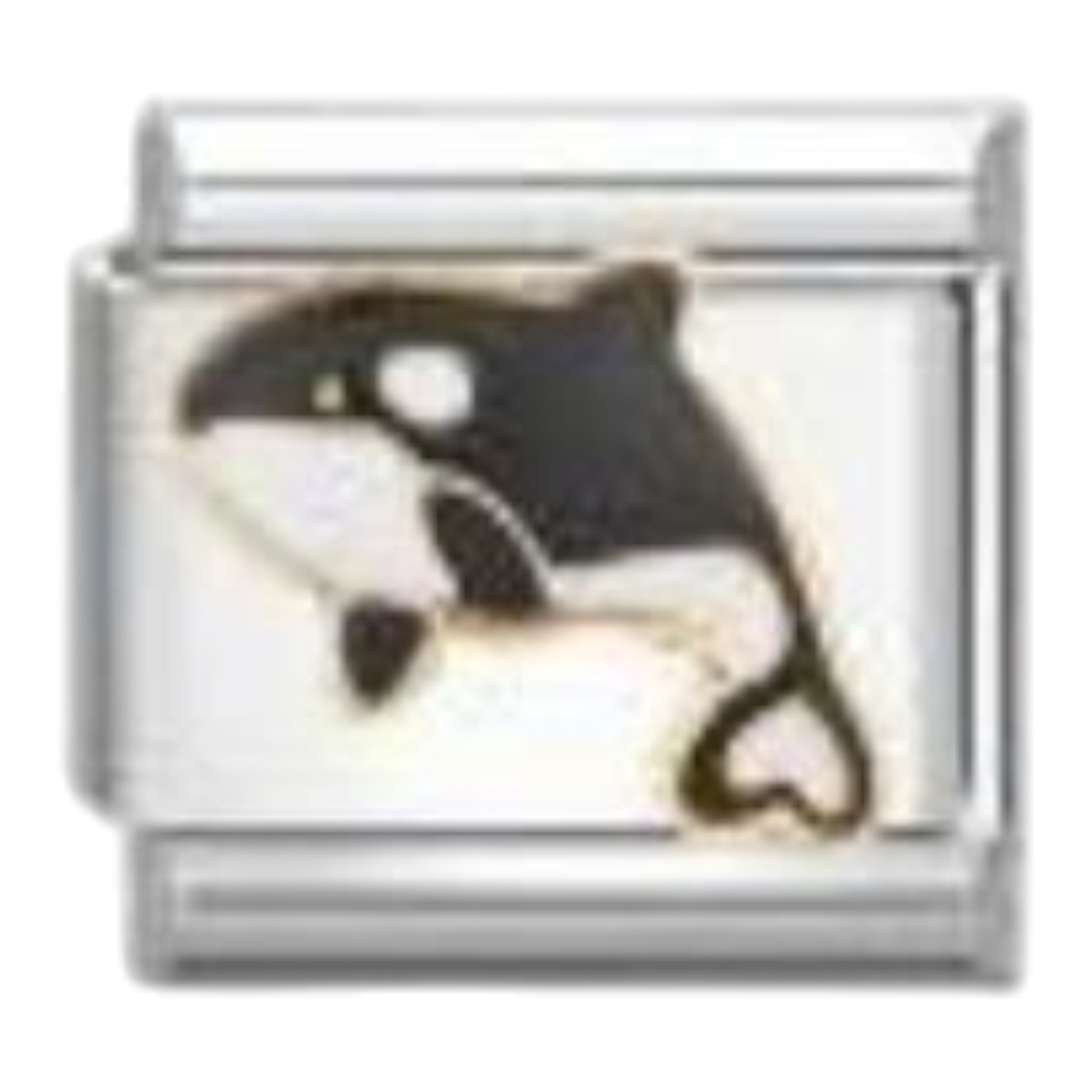 Orca
