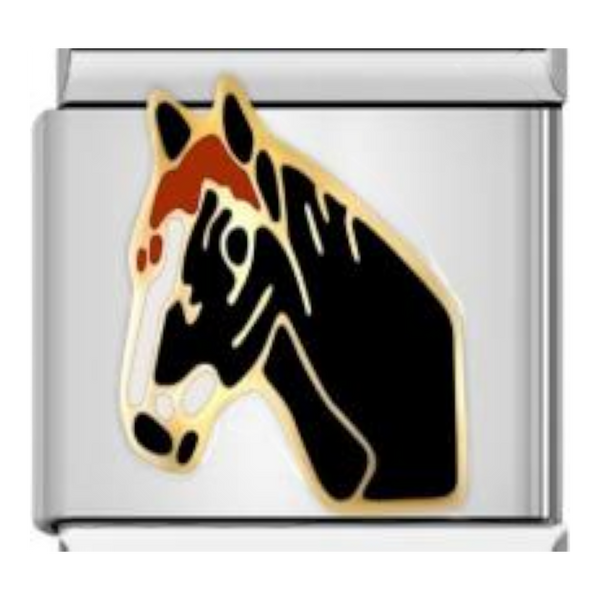 Caballos