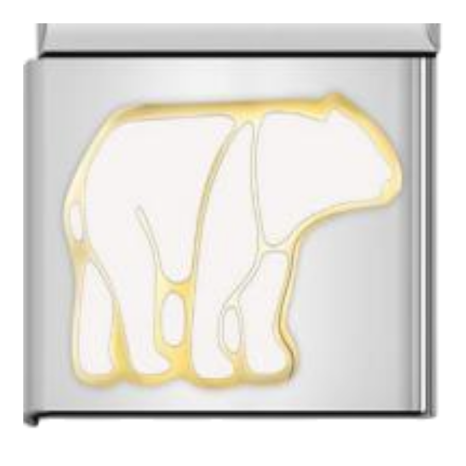 Oso Polar