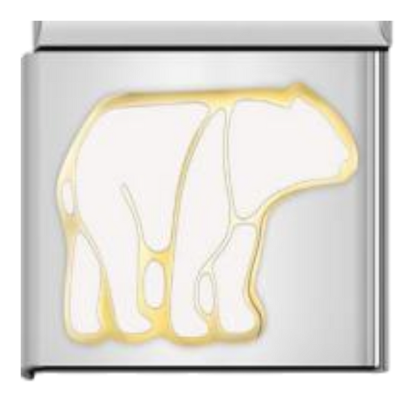 Oso Polar