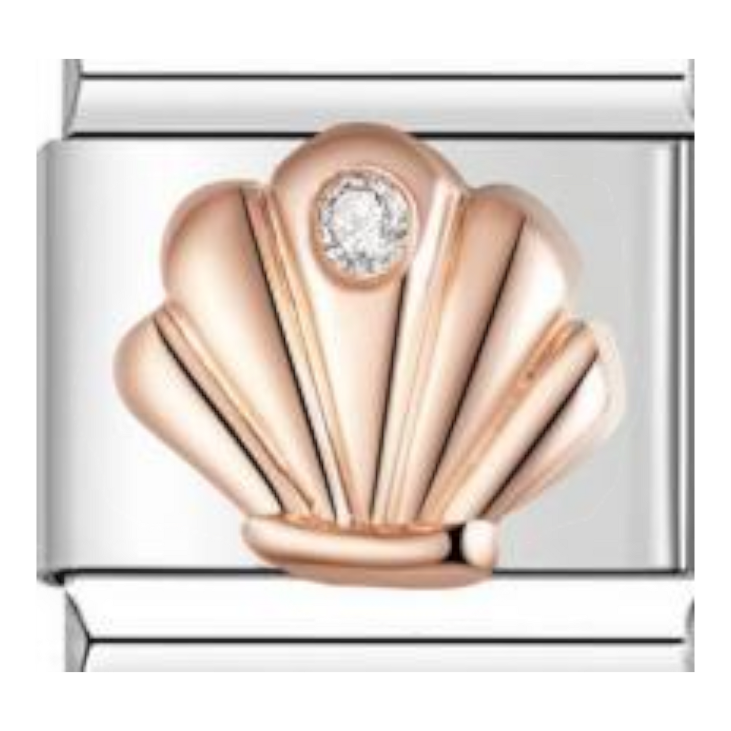 Concha Elegante