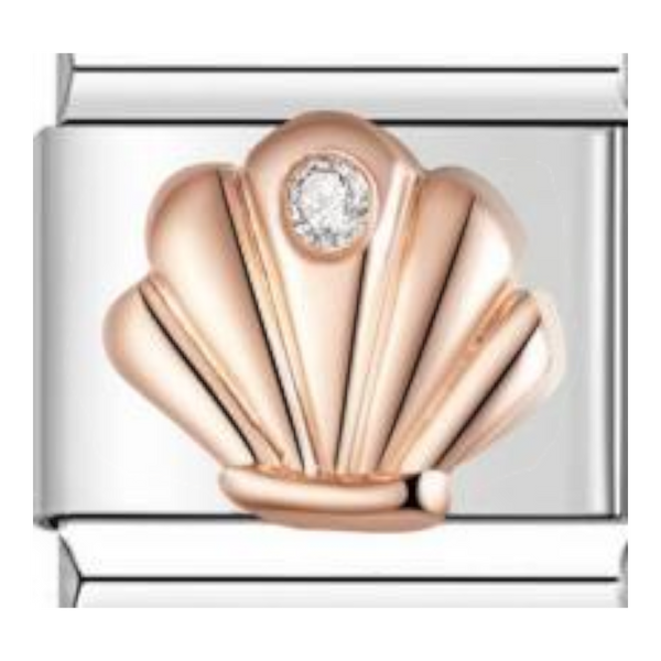 Concha Elegante