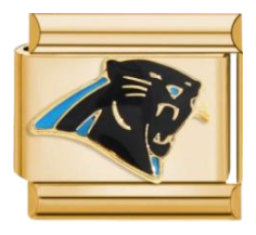 Carolina Panthers - Dorado