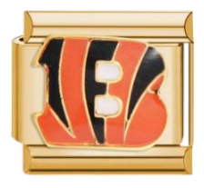 Cincinnati Bengals