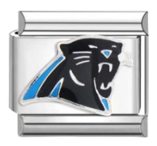 Carolina Panthers - Plata