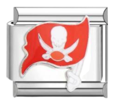 Tampa Bay Buccaneers - Plata