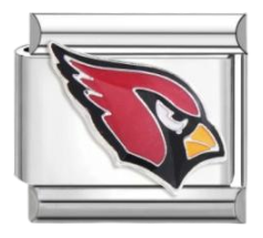 Arizona Cardinals - Plata