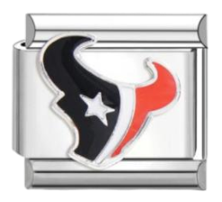 Houston Texans
