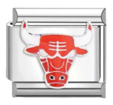 Chicago Bulls