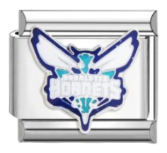 Charlotte Hornets
