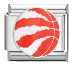 Toronto Raptors