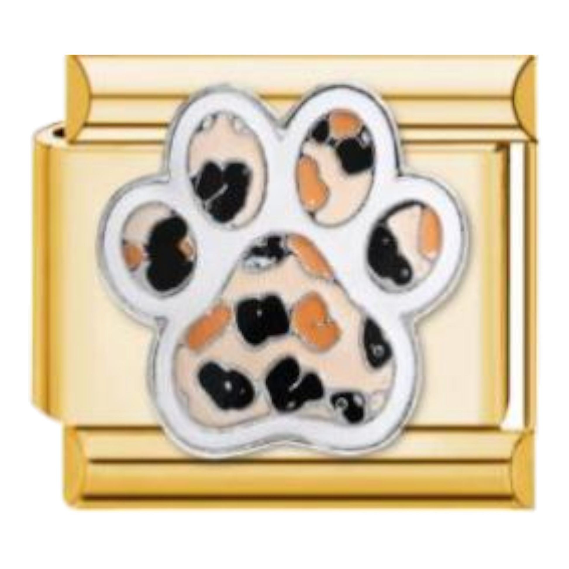 Huella de Gatitos