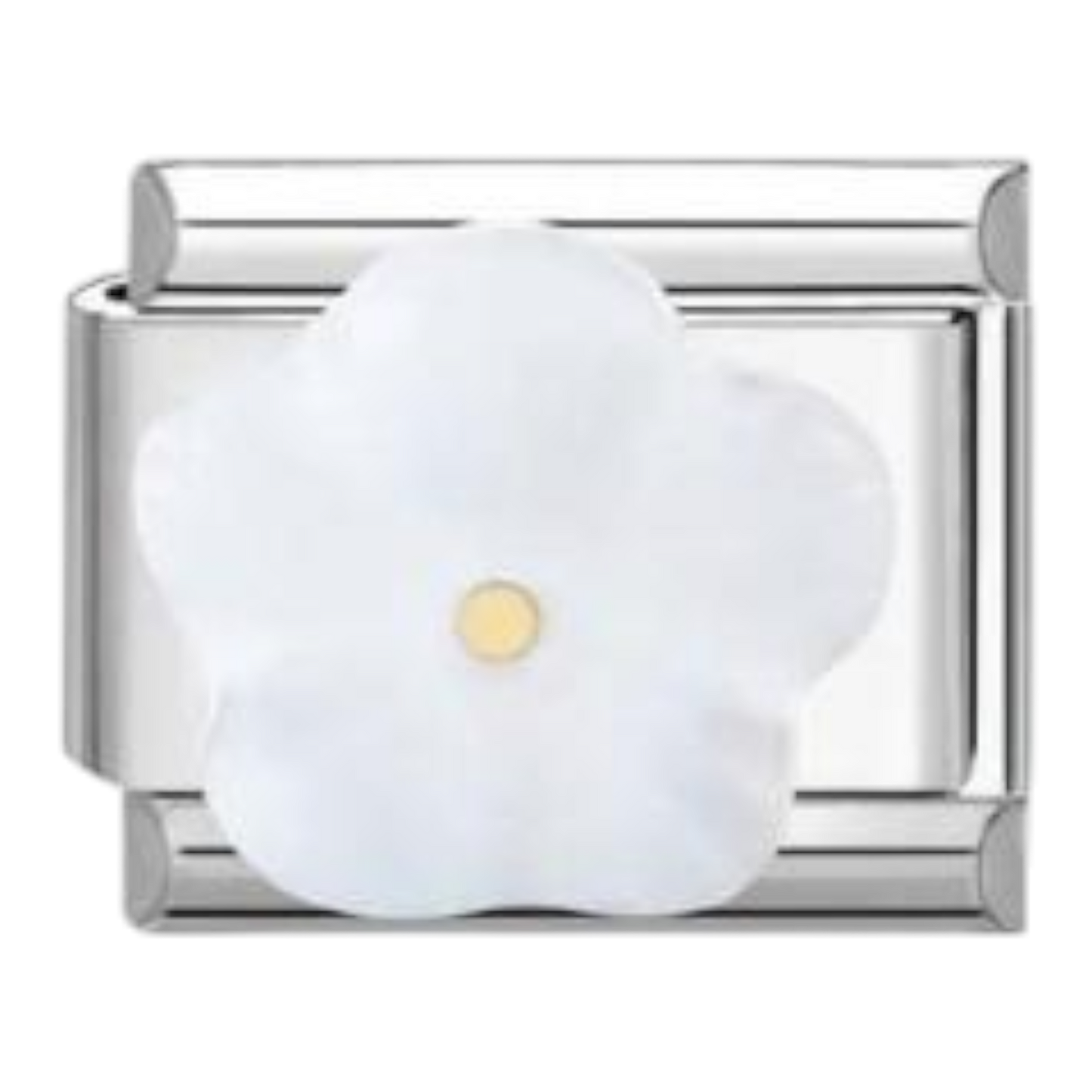 Flor Blanca