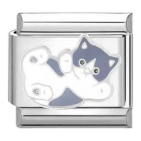 Gatitos
