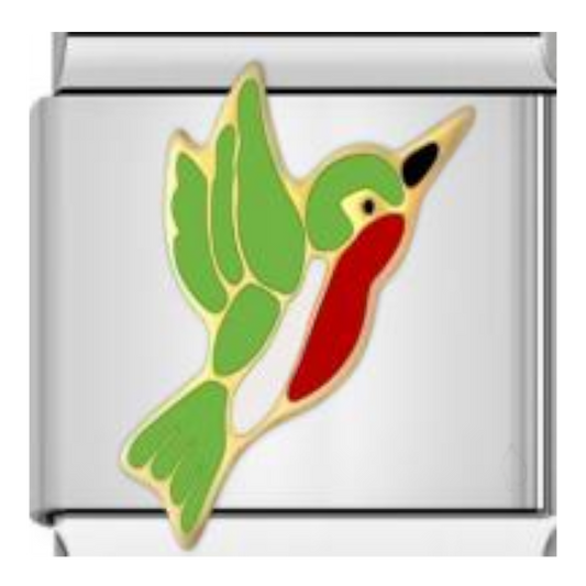Colibrí