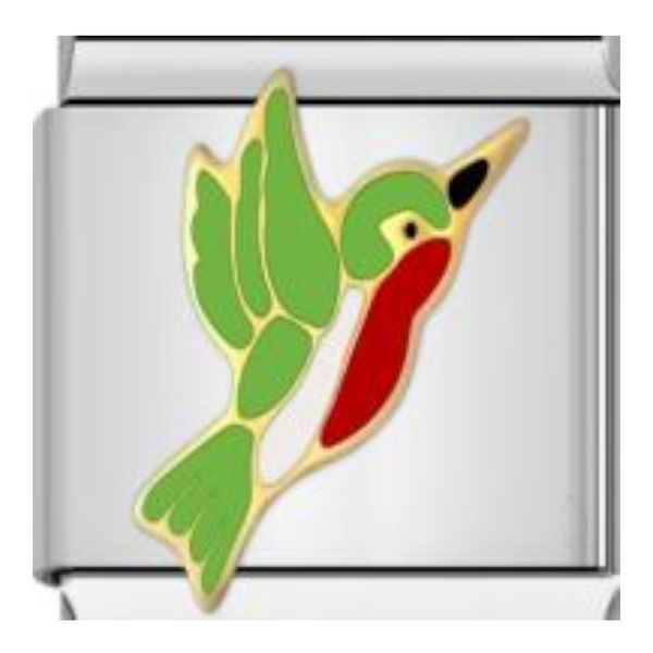 Colibrí