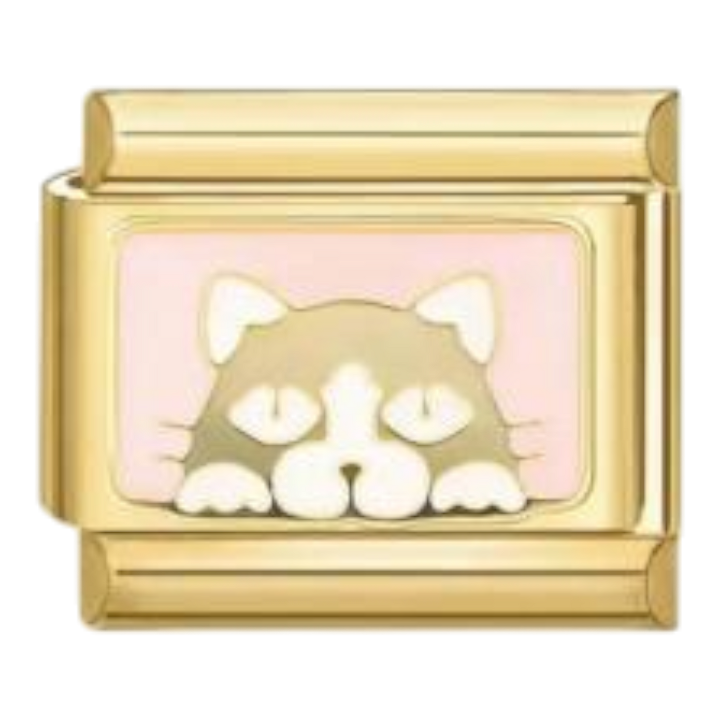 Retrato de Gato