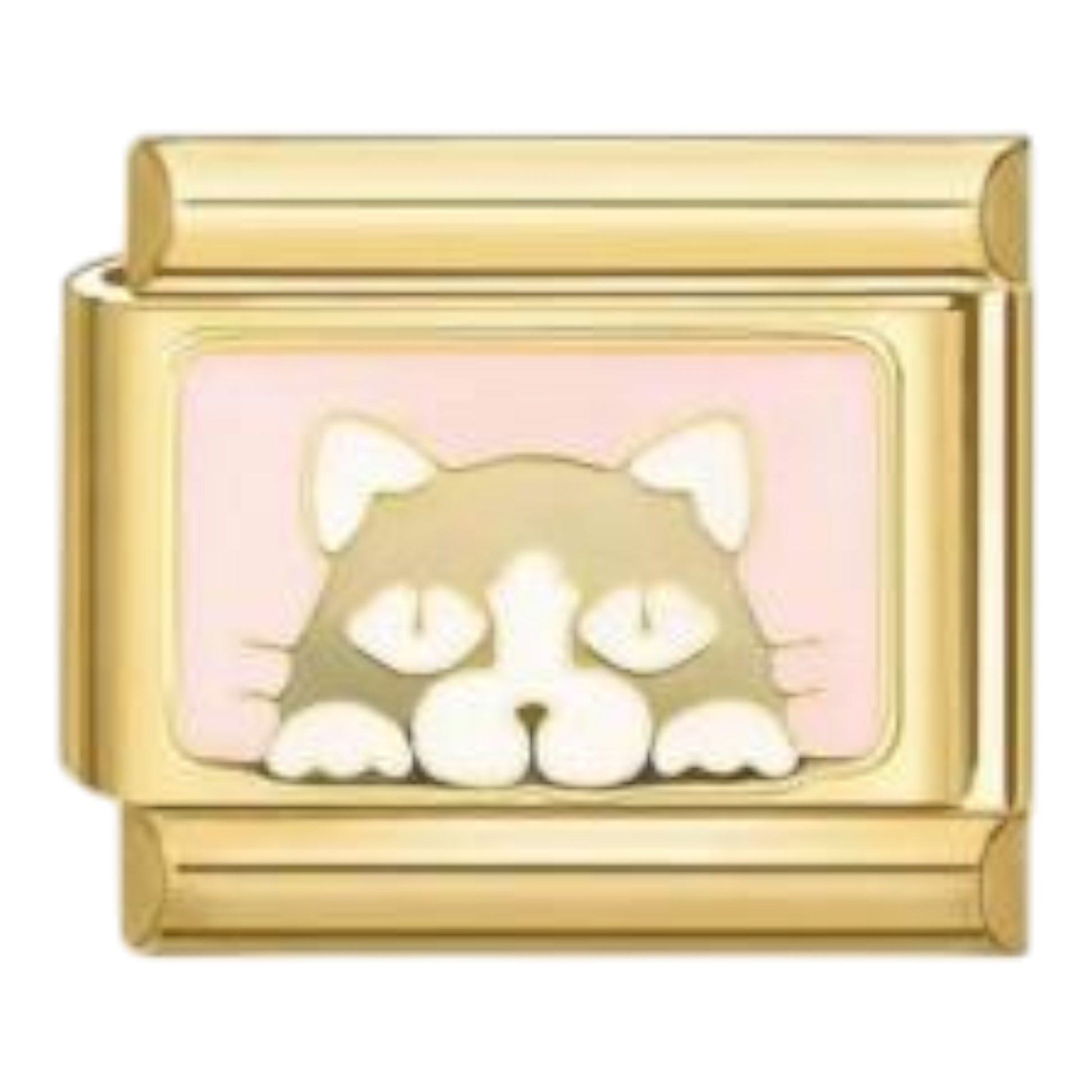 Retrato de Gato
