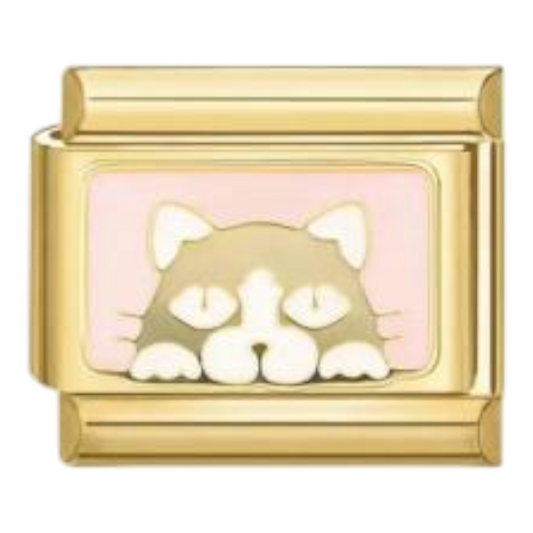 Retrato de Gato