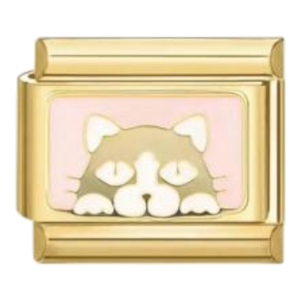 Retrato de Gato