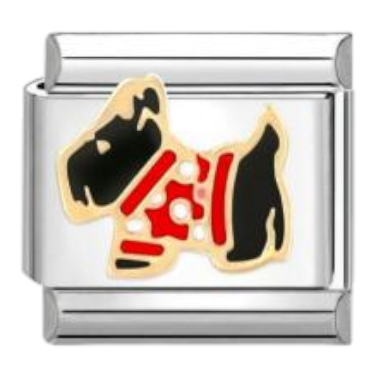 Fox Terrier con Jersey
