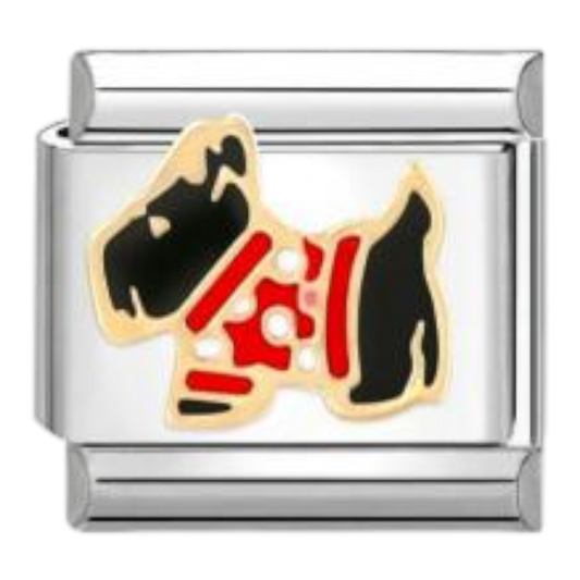 Fox Terrier con Jersey
