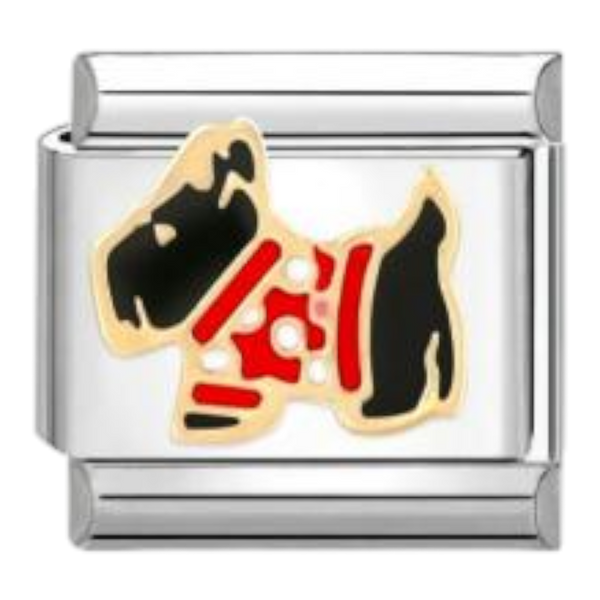Fox Terrier con Jersey