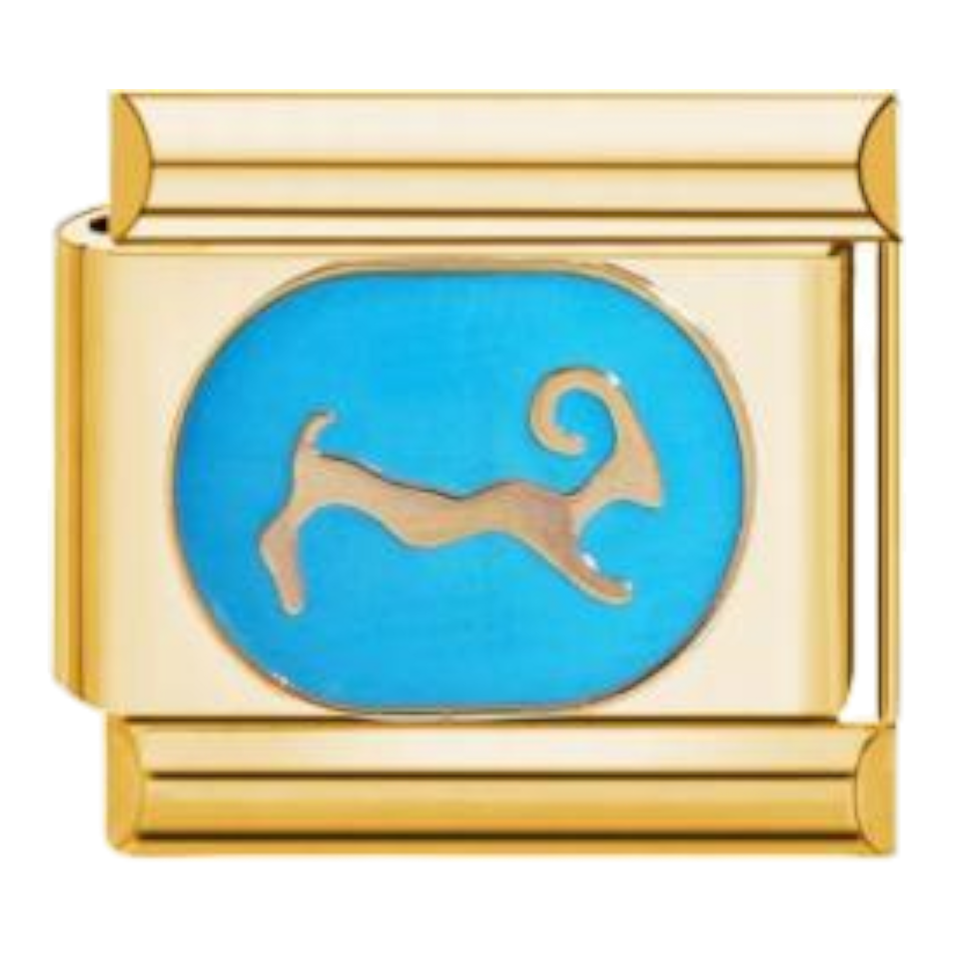 Charm del signo Piscis con esmalte de color y acabado dorado
