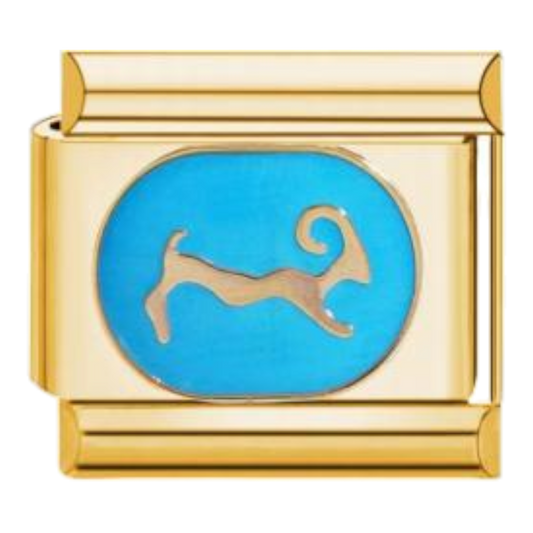 Charm del signo Piscis con esmalte de color y acabado dorado